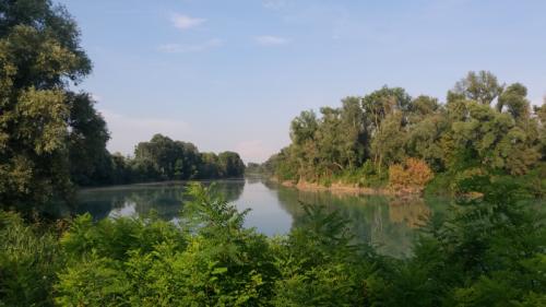 I Segreti Degli Animali - Noventa Di Piave