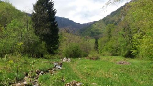 Alla Scoperta Di Alano Di Piave Tra Fontane E Boschi - Alano Di Piave