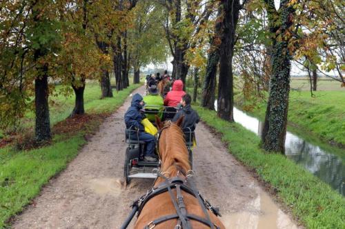 Paradriving Umbria - Cortona