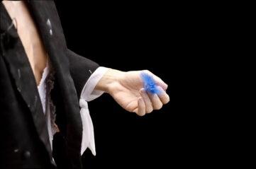 Animali Celesti Teatro D’arte Civile - Pisa