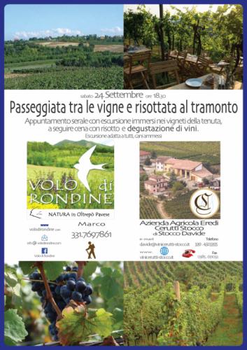 Passeggiata Tra Le Vigne E Risottata Al Tramonto - Zenevredo