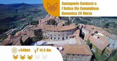 Castagneto Carducci E L'antica Via Campigliese - Castagneto Carducci