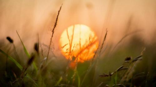 Sonorità Oniriche Al Tramonto - Borgo Valbelluna