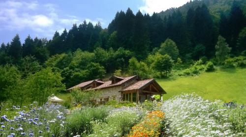 Alla Scoperta Delle Piante Officinali - Limana