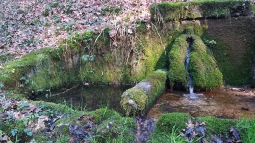 Camminata Dell'ecobenessere - Nervesa Della Battaglia