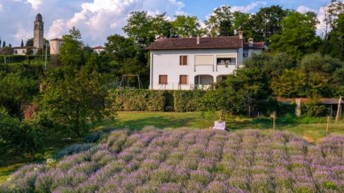 Risveglio Al Profumo Di Lavanda - Conegliano