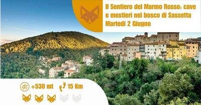  Sassetta  - Sassetta