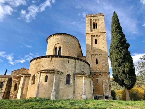 Montalcino Escursione Fra Il Brunello E L'abbazia Di Sant'antimo - Montalcino