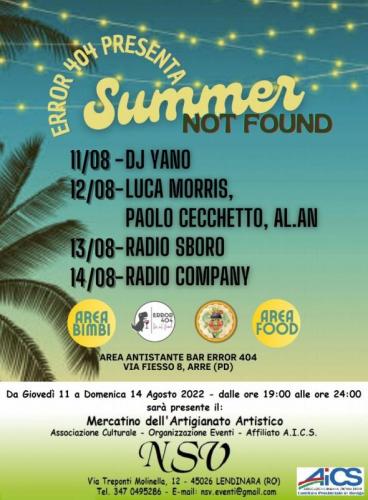 Summer Not Found - Arre