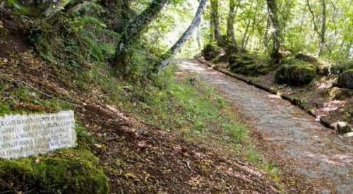 Archeo - Trekking Sul Monte Cavo - Rocca Di Papa
