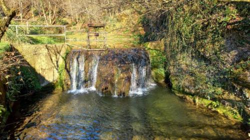 Camminata Dell'ecobenessere A Castelcucco - Castelcucco