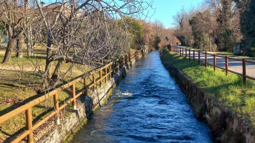 Camminata Dell'ecobenessere Nel Montello - Volpago Del Montello