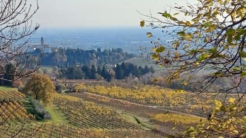 Camminata Dell'ecobenessere A Susegana - Susegana