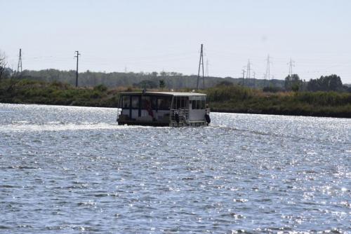 Port Authority Pisa - Pisa