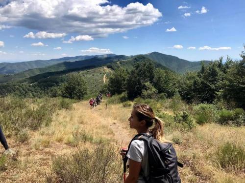 Artimino: Escursione Tra Etruschi E Medici - Prato