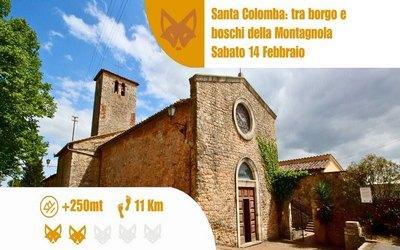 Anello Santa Colomba: Tra Borgo, Boschi E Via Francigena - Monteriggioni