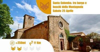 Anello Santa Colomba: Tra Borgo, Boschi E Via Francigena - Monteriggioni
