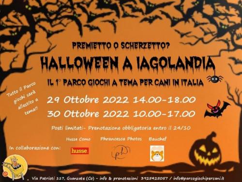 Halloween A Iagolandia - Guanzate