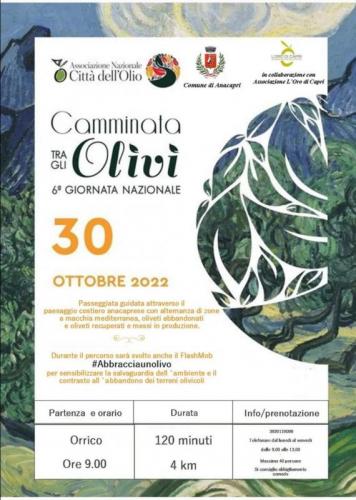 Camminata Tra Gli Olivi A Anacapri - Anacapri