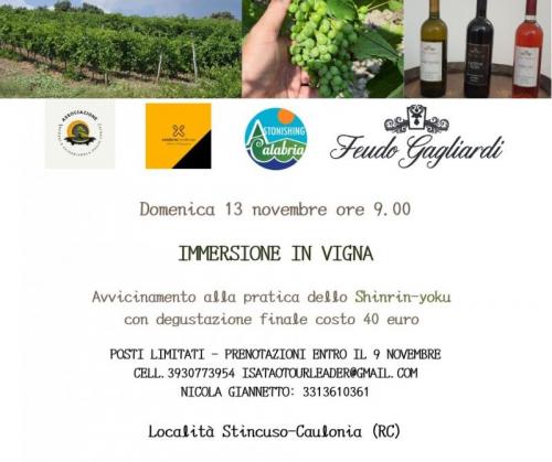 Immersione In Vigna - Caulonia