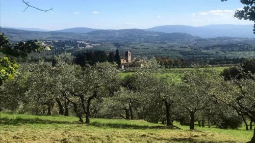 Firenze, Escursione Alle Pendici Del Monte Morello - Firenze