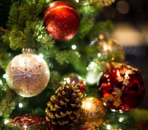 Aspettando Il Natale A Genova - Genova