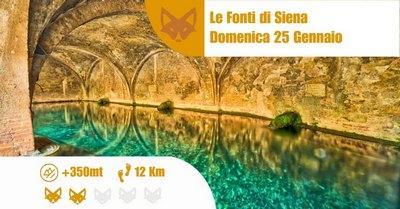 Le Fonti Di Siena - Siena
