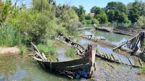 Il Sile E Il Cimitero Dei Burci Tra Natura E Antichi Mestieri - Casier