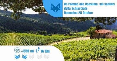Le Terre Di Pomino E La Consuma - Rufina