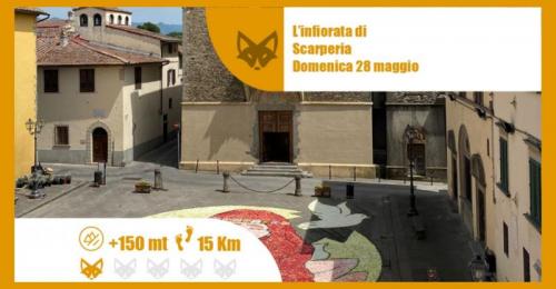 L'infiorata Di Scarperia - Scarperia e San Piero