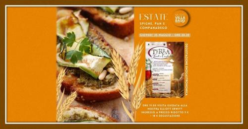 Terra Santi E Contadini - Abano Terme