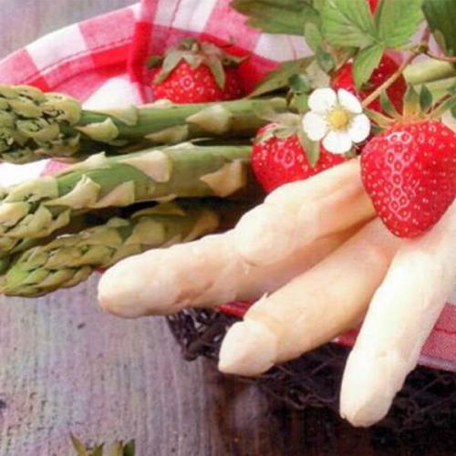 Germogli Di Primavera - Morgano