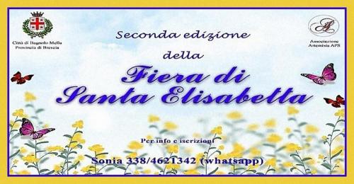 La Fiera Di Santa Elisabetta A Bagnolo Mella - Bagnolo Mella
