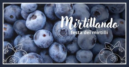 La Festa Dei Mirtilli A Vimodrone - Vimodrone