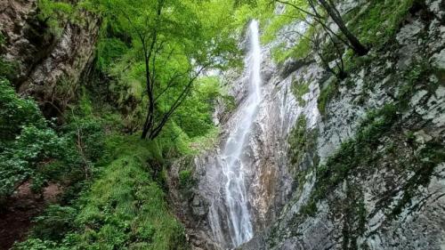 San Gregorio Nelle Alpi Tra Acque Smeraldine E Boschi - San Gregorio Nelle Alpi