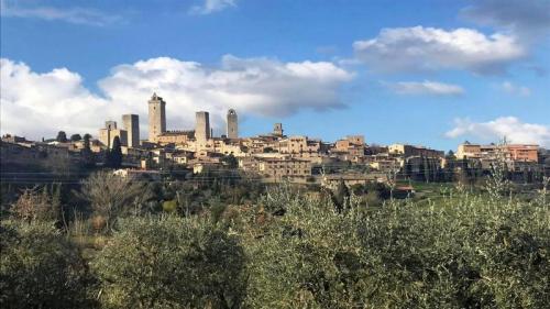 Trekking Natalizio Tra Le Torri Di San Gimignano - San Gimignano