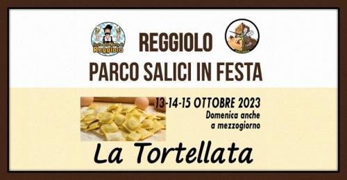 Parco Salici In Festa A Reggiolo - Reggiolo