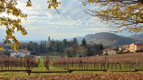 Tra I Dolci Colli Di Refrontolo D'autunno - Refrontolo