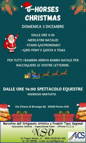 G-horses Christmas - Ponso