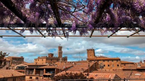 Il Sale Di Volterra  - Volterra