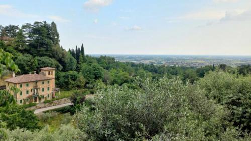 Passeggiata Ad Asolo Tra Boschi E Sorgenti - Asolo
