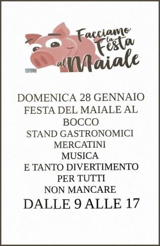 La Festa Del Maiale A Il Bocco Di Casina - Casina