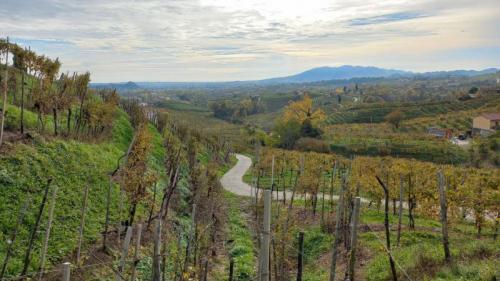 Le Colline Di Valdobbiadene: Passeggiata Tra Vigneti E Antichi Casolari - Valdobbiadene