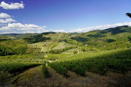 Le Vie Maremmane Del Chianti - Greve In Chianti