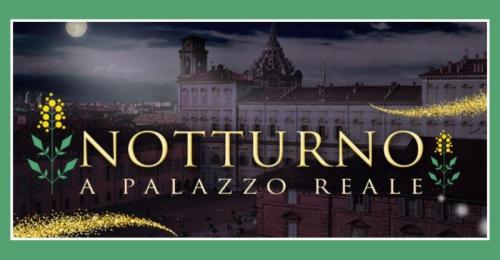 Notturno In Rosa A Palazzo Reale - Torino