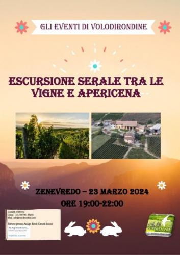 Le Notturne Di Volo Di Rondine   - Zenevredo