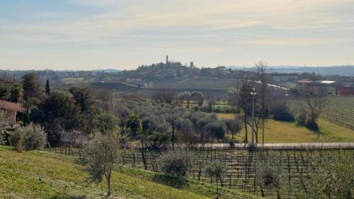 Passeggiata A Colle Umberto Tra Acque, Mulini E Ulivi - Colle Umberto
