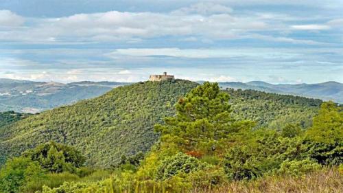 I Tesori Della Valle Del Pavone - Castelnuovo Di Val Di Cecina