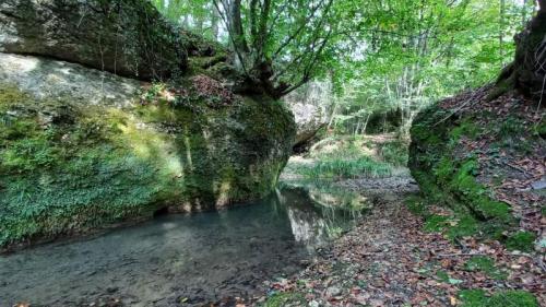 San Pietro Di Feletto Tra Torrenti, Boschi E Felci - San Pietro Di Feletto
