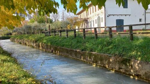 Passeggiata Tra I Boschi Del Montello - Volpago Del Montello